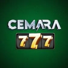 Panduan Lengkap Aplikasi cemara777 untuk Pemula